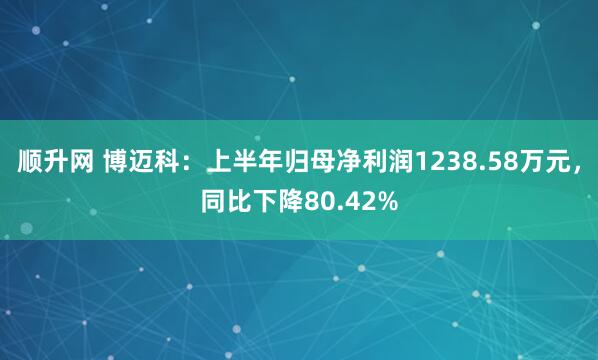 顺升网 博迈科：上半年归母净利润1238.58万元，同比下降80.42%