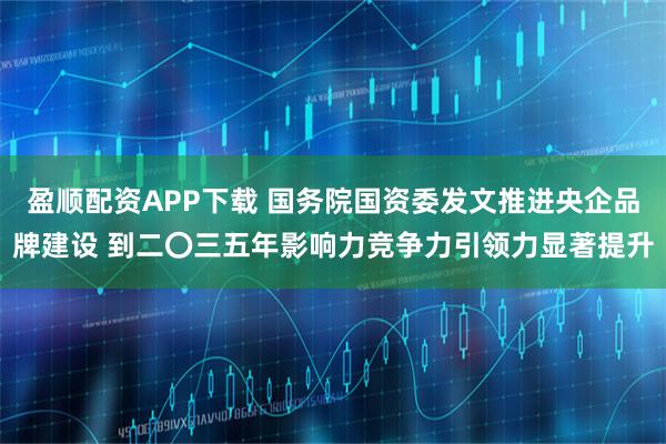 盈顺配资APP下载 国务院国资委发文推进央企品牌建设 到二〇三五年影响力竞争力引领力显著提升