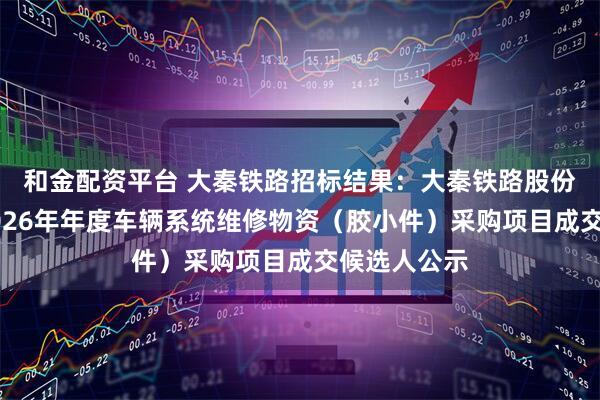 和金配资平台 大秦铁路招标结果：大秦铁路股份有限公司2026年年度车辆系统维修物资（胶小件）采购项目成交候选人公示