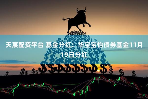 天宸配资平台 基金分红：华宝宝怡债券基金11月19日分红